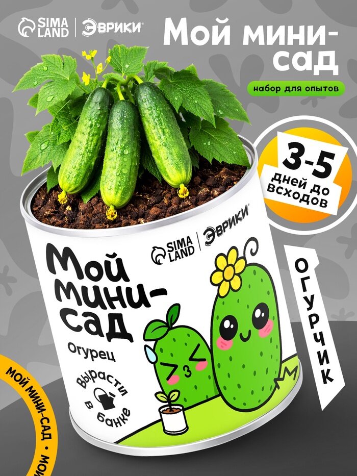 Набор для опытов эврики «Мой мини-сад», огурец