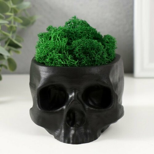 Кашпо бетонное Череп со мхом черный 13х9х65 см мох зеленый стабилизированный 758₽