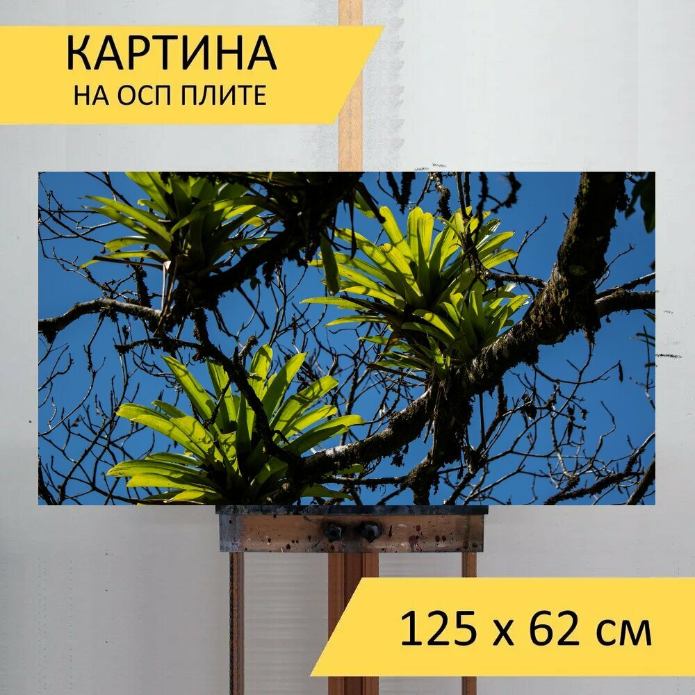 Картина на ОСП 125х62 см. 