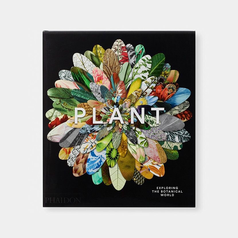 Plant: Exploring the Botanical World - фото №7