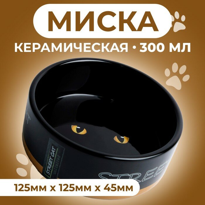 Пижон Миска керамическая "Черный кот" 300 мл 12,5 х 4,5 см, черно-оранжевая