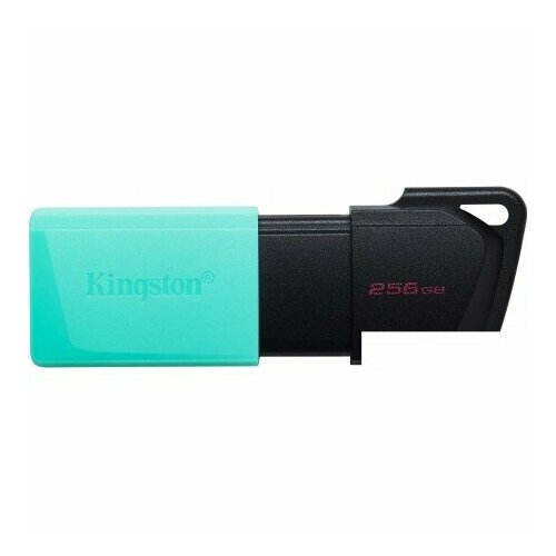 USB Flash Kingston DataTraveler Exodia M 256GB usb flash kingston 256gb datatraveler