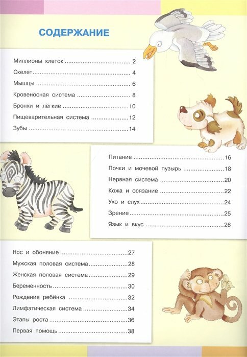 Книжка с наклейками. Моя первая энциклопедия. Тело человека - фото №2