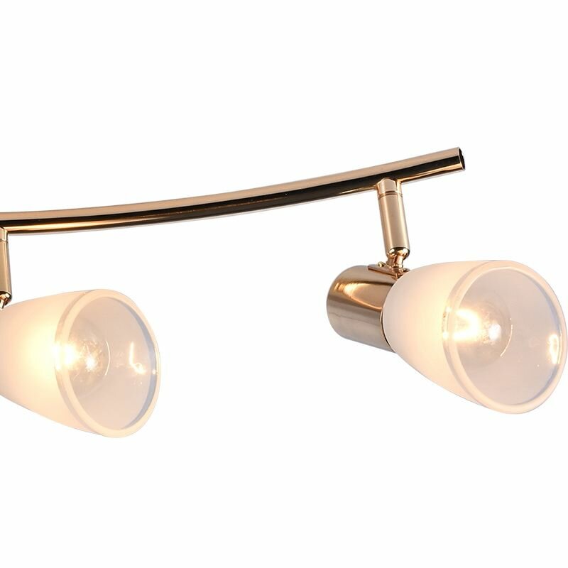 Светильник спотовый потолочный Reluce 05947-0.8-04 FGD — фото 1