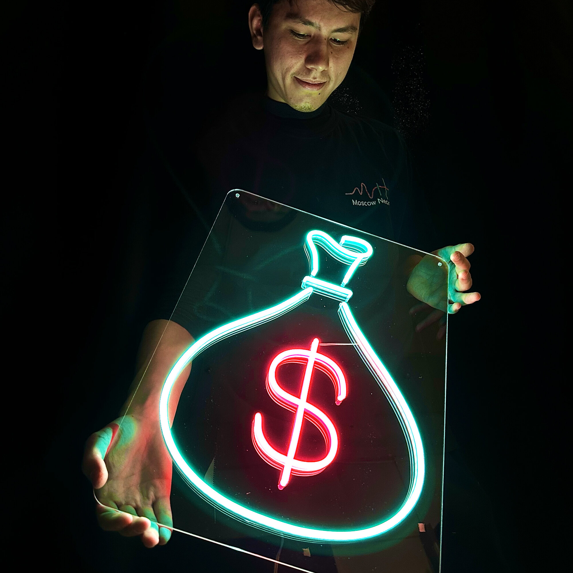Неоновый светильник / Неоновая светодиодная вывеска на стену / Настенная неоновая лампа "Мешок с деньгами", для дома и бизнеса, 37 х 50 см.