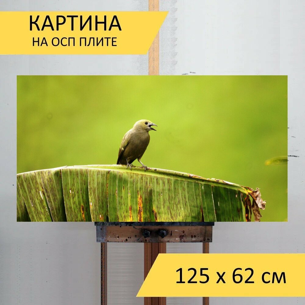 Картина на ОСП "Природа, дикий, птицы" 125x62 см. для интерьера на стену