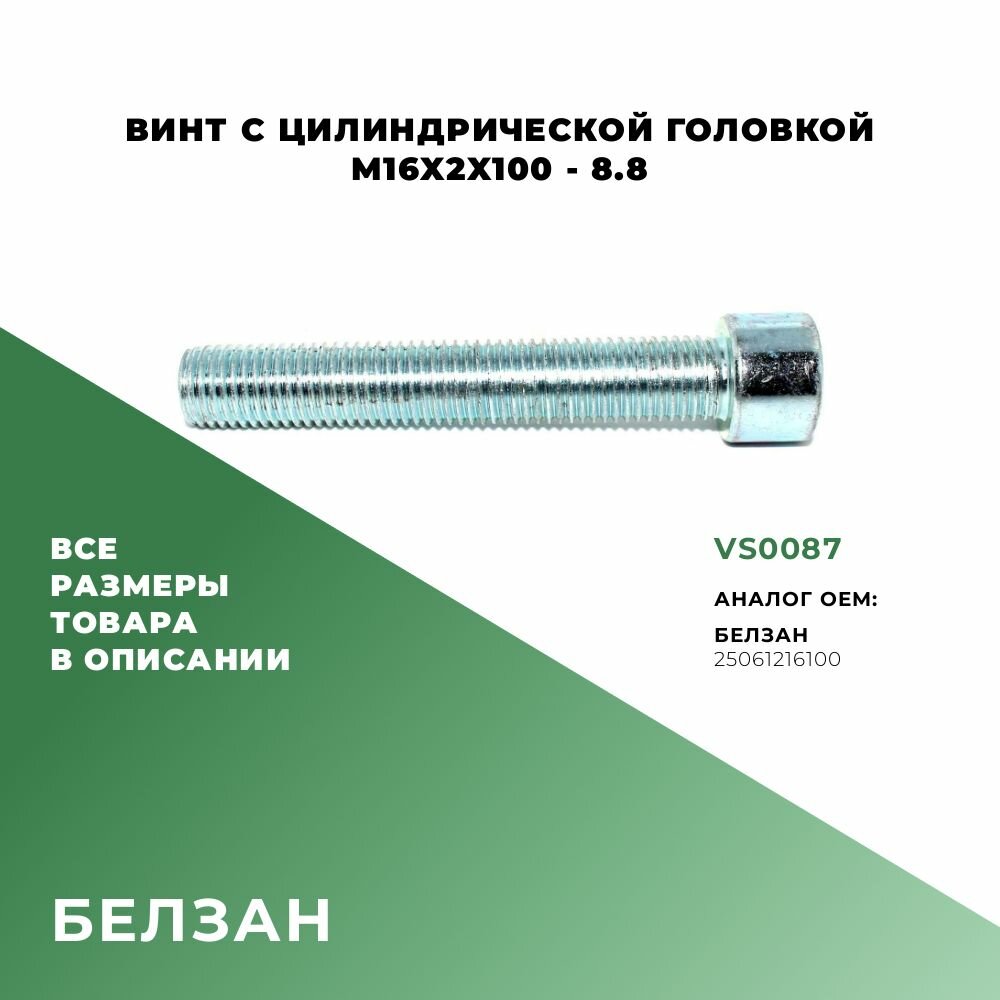 Винт с цилиндрической головкой M16х100х2-8.8; БелЗАН 25061216100; VS0087