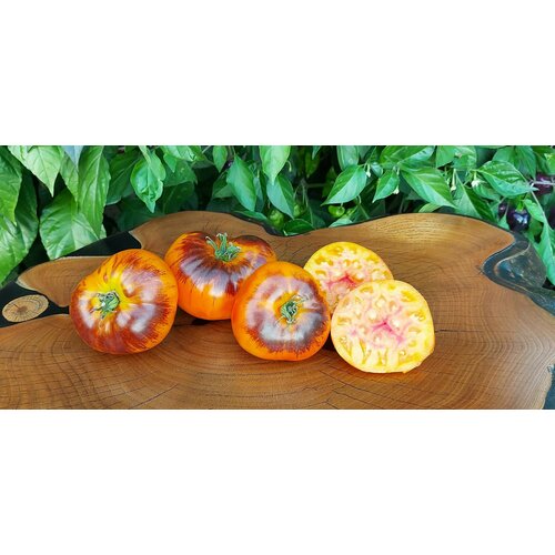 Семена Томата чупа-чупс (Chupa Chups) / Seeds And Goods / в пакетике zip-lock без полиграфии 10 семян