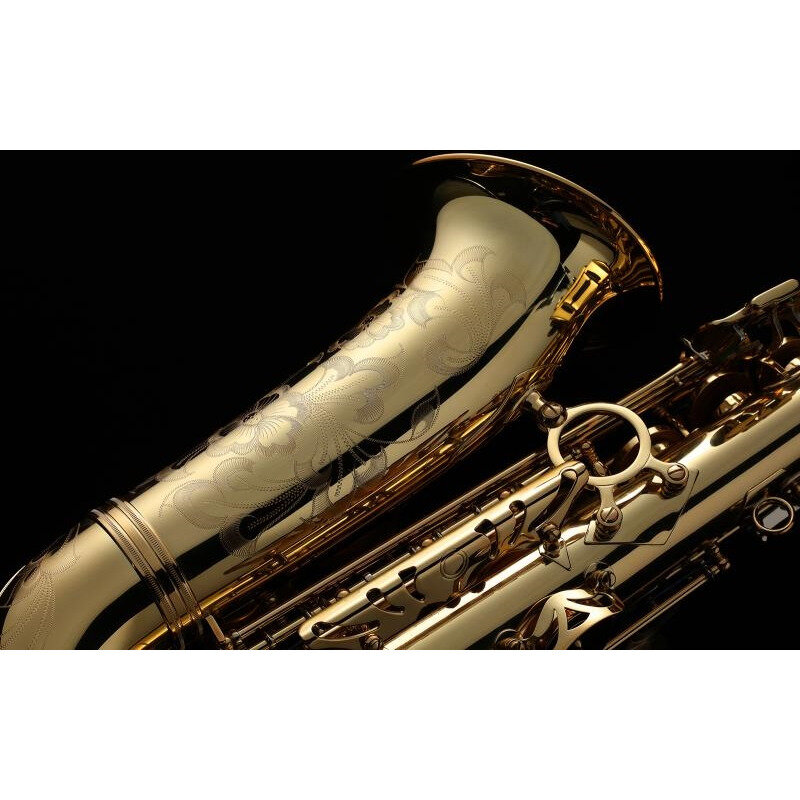 Саксофон альт Eb Artist AS-601L — фото 1