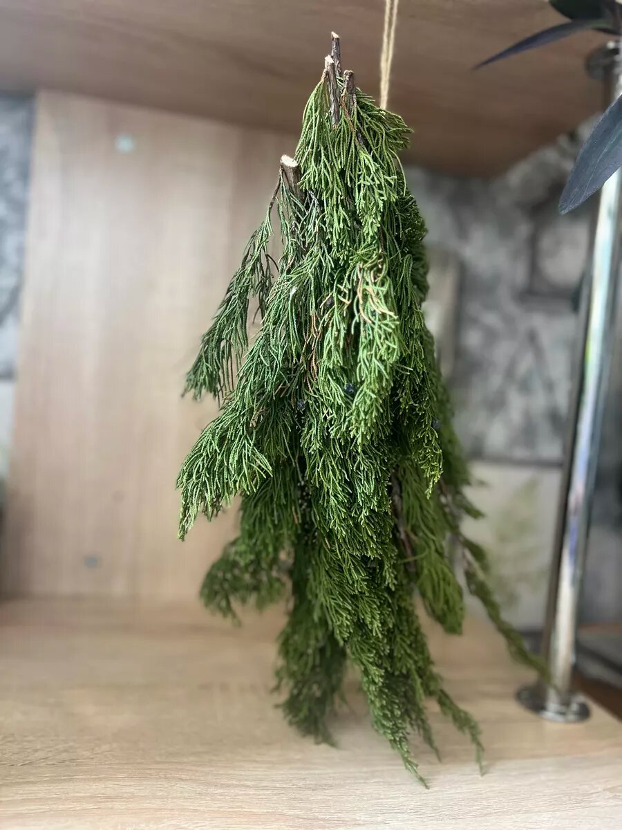 Можжевельник ароматный живые ветки для декора и бани