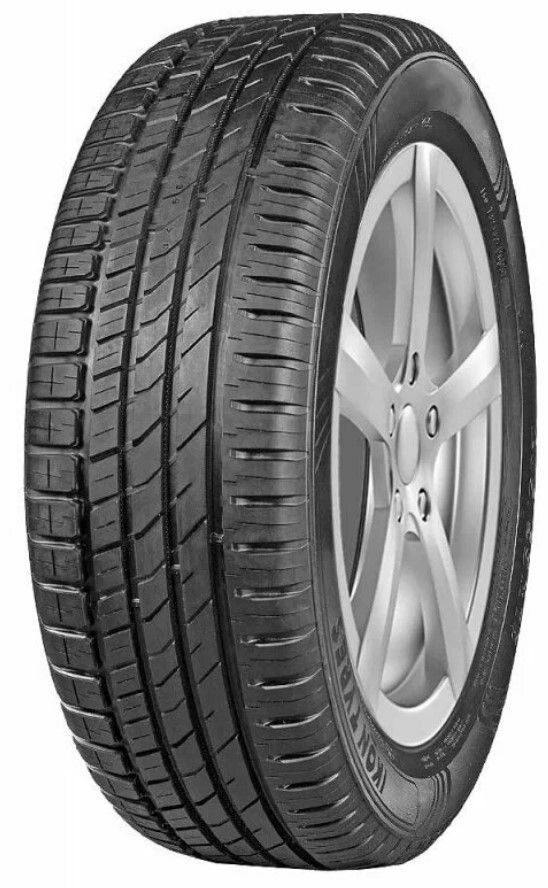 Шина Ikon Tyres Ikon Character Eco 205/55 R16 91H