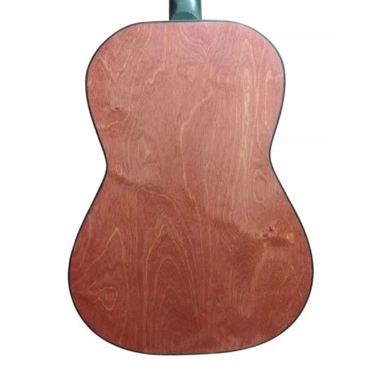 Акустическая гитара Niagara FL-39WR — фото 1