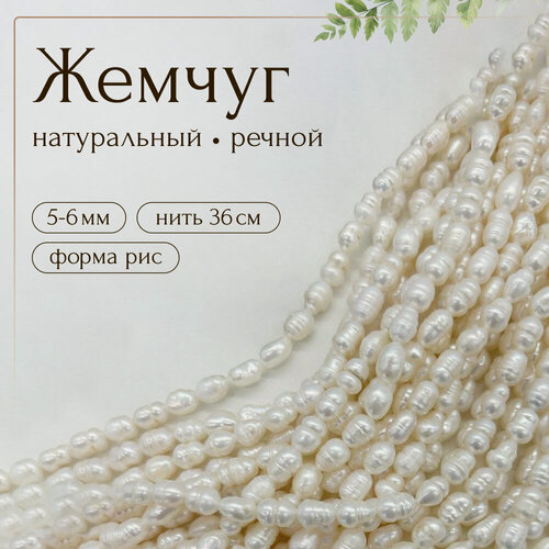 Изображение товара Бусины жемчуга, жемчуг натуральный речной молочный, рис, 5 - 6 мм, 1 нить, Б768