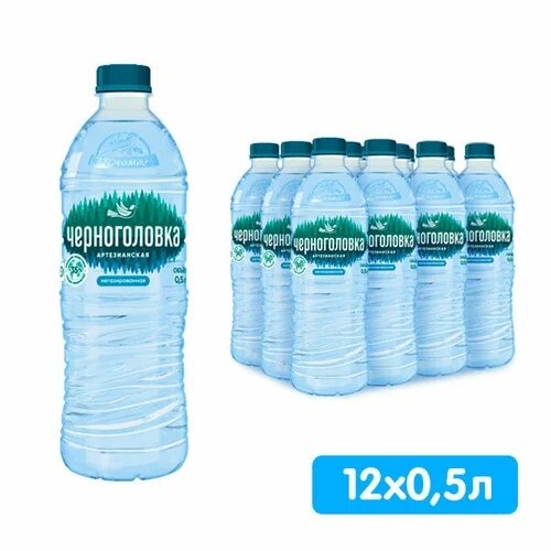 Вода Черноголовская, негазированная, 0,5 л, ПЭТ, 12 шт упаковка