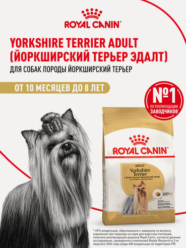 Изображение товара Сухой корм для собак Royal Canin Adult для породы йоркширский терьер, 3 кг