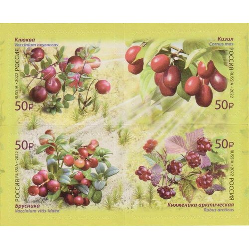Почтовые марки Россия 2022г. Ягоды Ягоды MNH ягоды