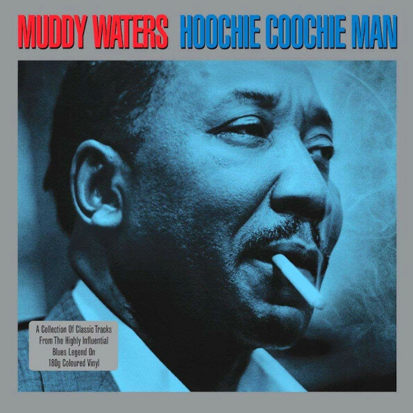 Виниловая пластинка MUDDY WATERS - HOOCHIE COOCHIE MAN (2 LP)