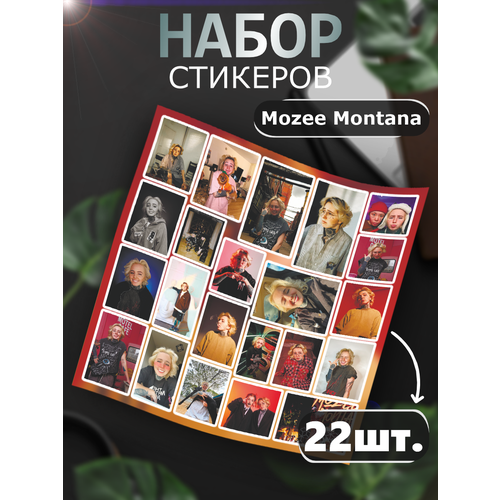 Наклейки на телефон стикеры Mozee Montana