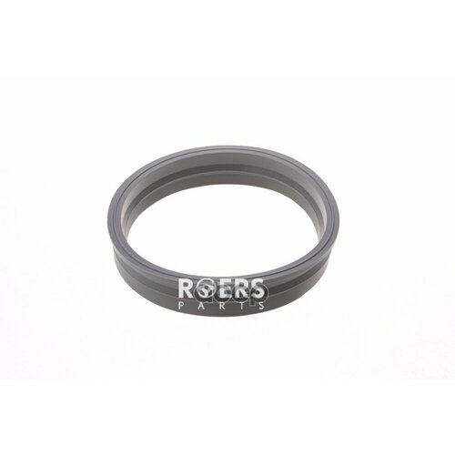 ROERS-PARTS RPM51SR002 Уплотнит. кольцо [ORG]