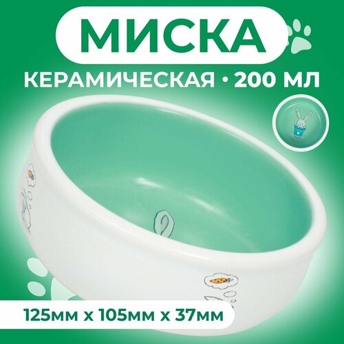 Миска керамическая для кроликов 200 мл 10 х 3,7 см, мятная/белая миска керамическая для кроликов 200 мл 14 см