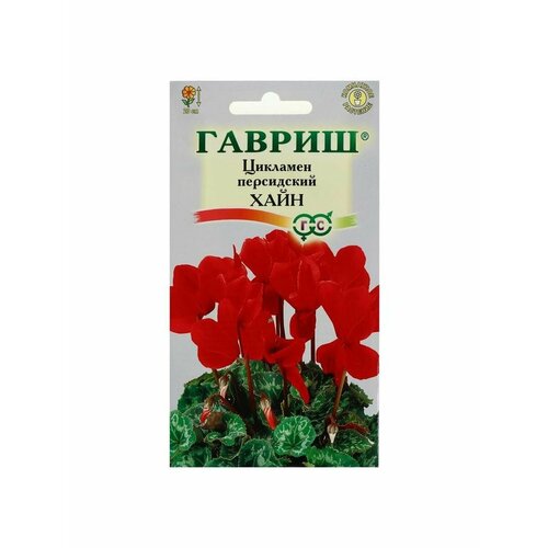 Семена цветов Цикламен Хайн, персидский, 3 шт. семена цикламен махаон лиловая гамма 2 упаковки 2 подарка