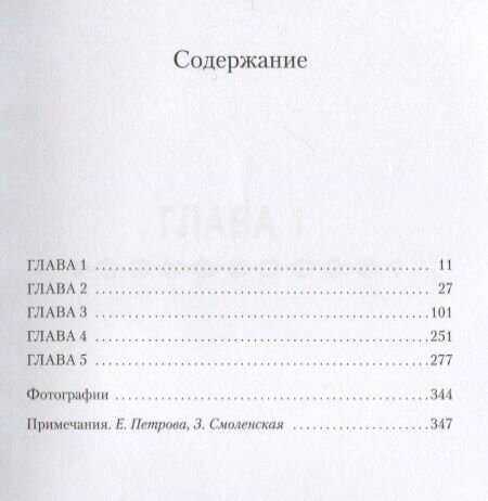 Говорит Альберт Эйнштейн (Гэнди Р.Дж., Смоленская Зинаида А. (переводчик), Петрова Елена (переводчик)) - фото №3