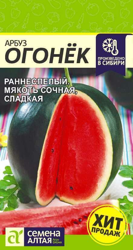 Семена Арбуз Огонек 1 гр Семена Алтая