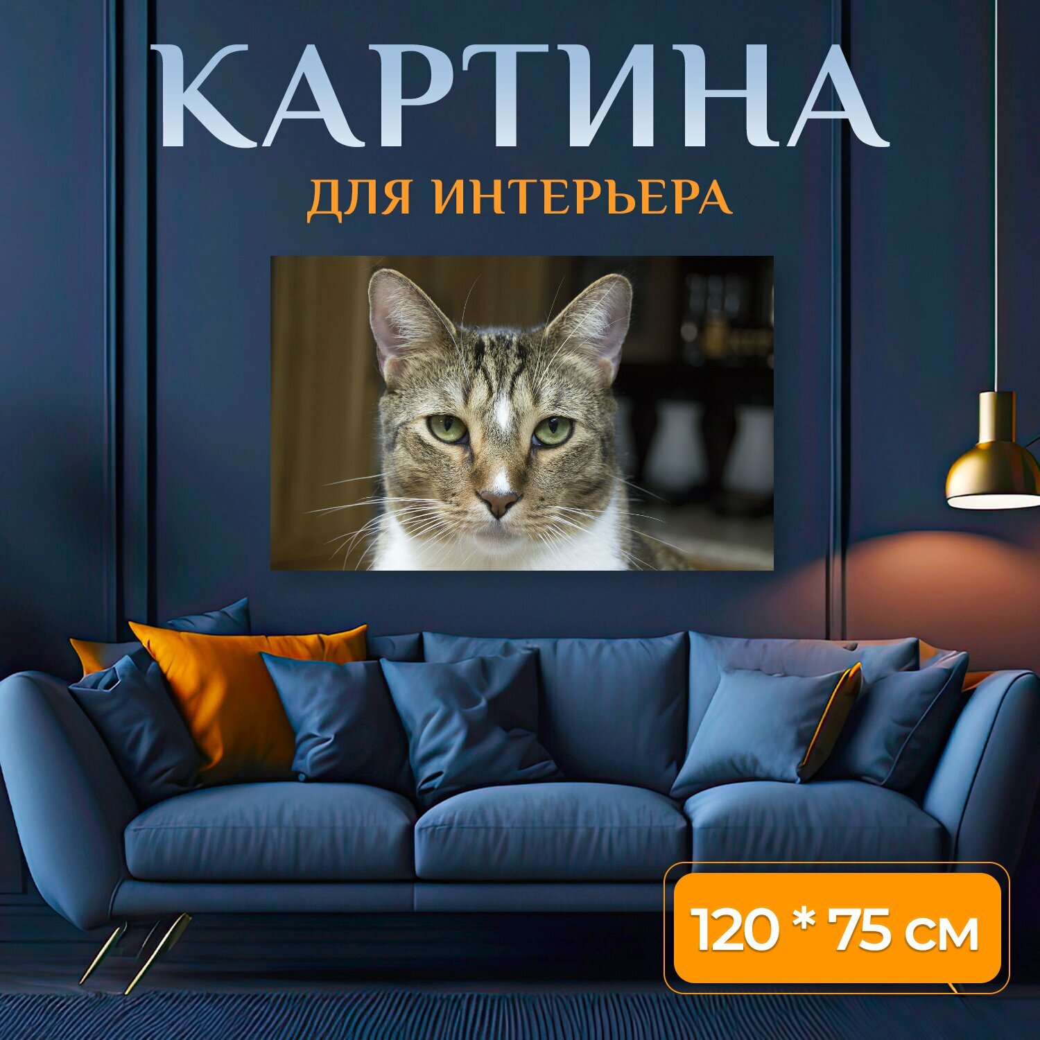 Картина на холсте "Животное кошка одомашненный" на подрамнике 120х75 см. для интерьера