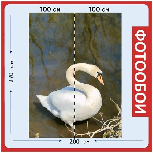 Фотообои Лебедь белый птица 200x270 см флизелиновыена стену 2940₽