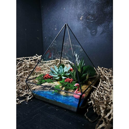 Флорариум с суккулентами от Flolefor 