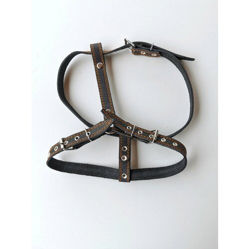 Шлейка кожаная Прогулочная, 2,5 см, ОШ 57-76 см, ОГ 74-84 см.