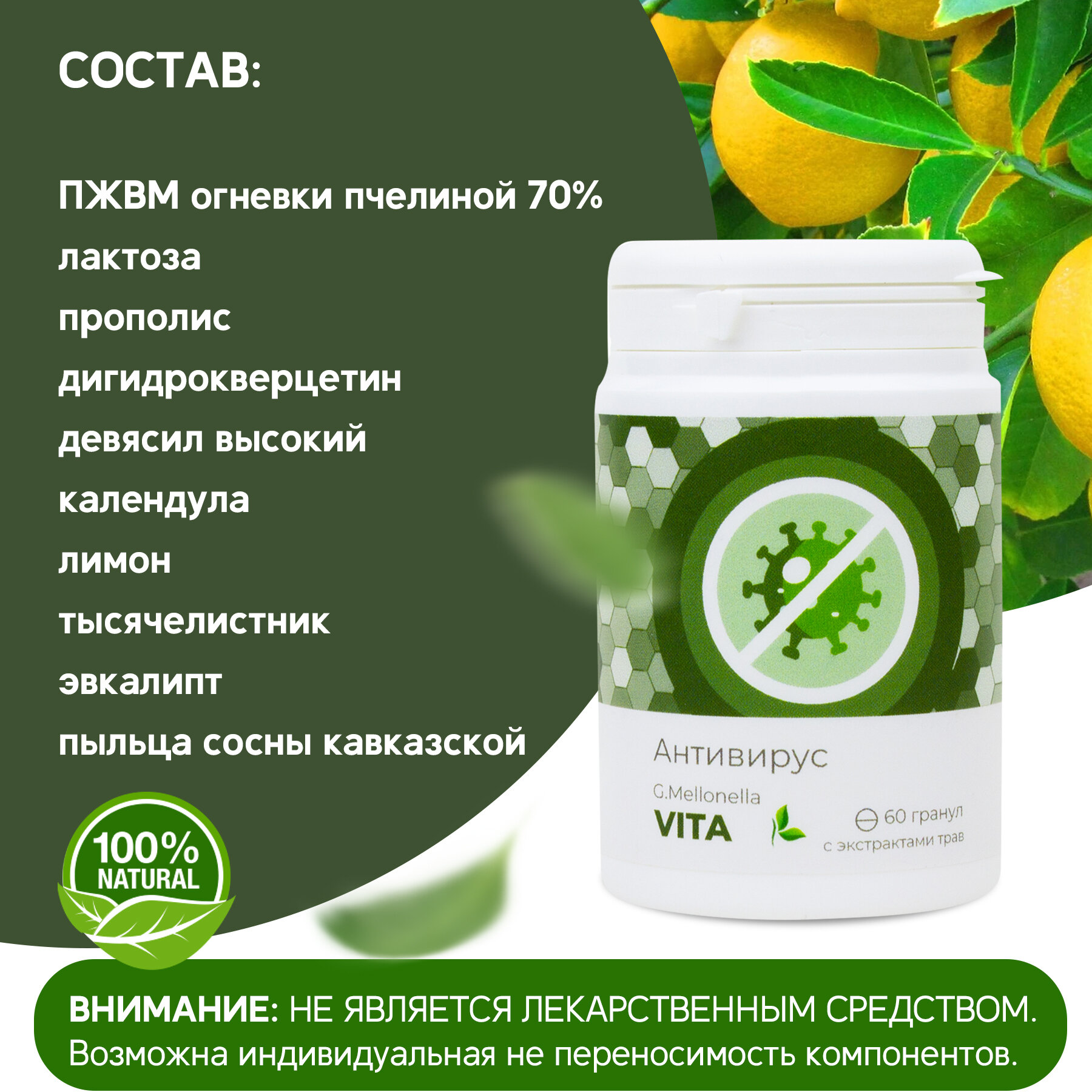 Изображение Двухмесячный комплекс "Огнёвка Вита" - комплекс от гриппа и простуды, для иммунитета, профилактика орви и орз 60 гранул.