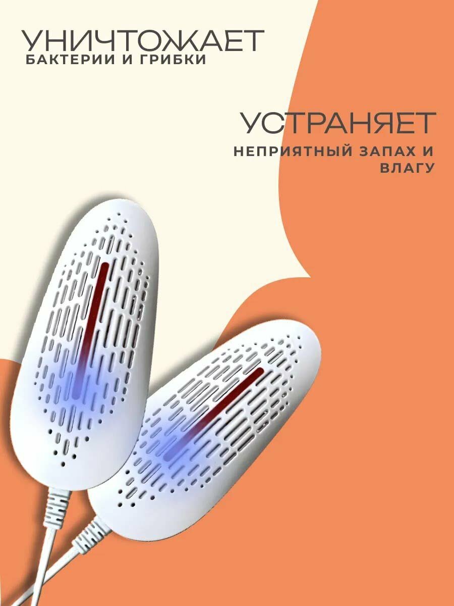 Антибактериальная сушилка для обуви и перчаток с ультрафиолетом — фото 1