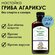 Настойка гриба агарикус "Фито-Аптекарь" - против вирусов и для обмена веществ, 2...