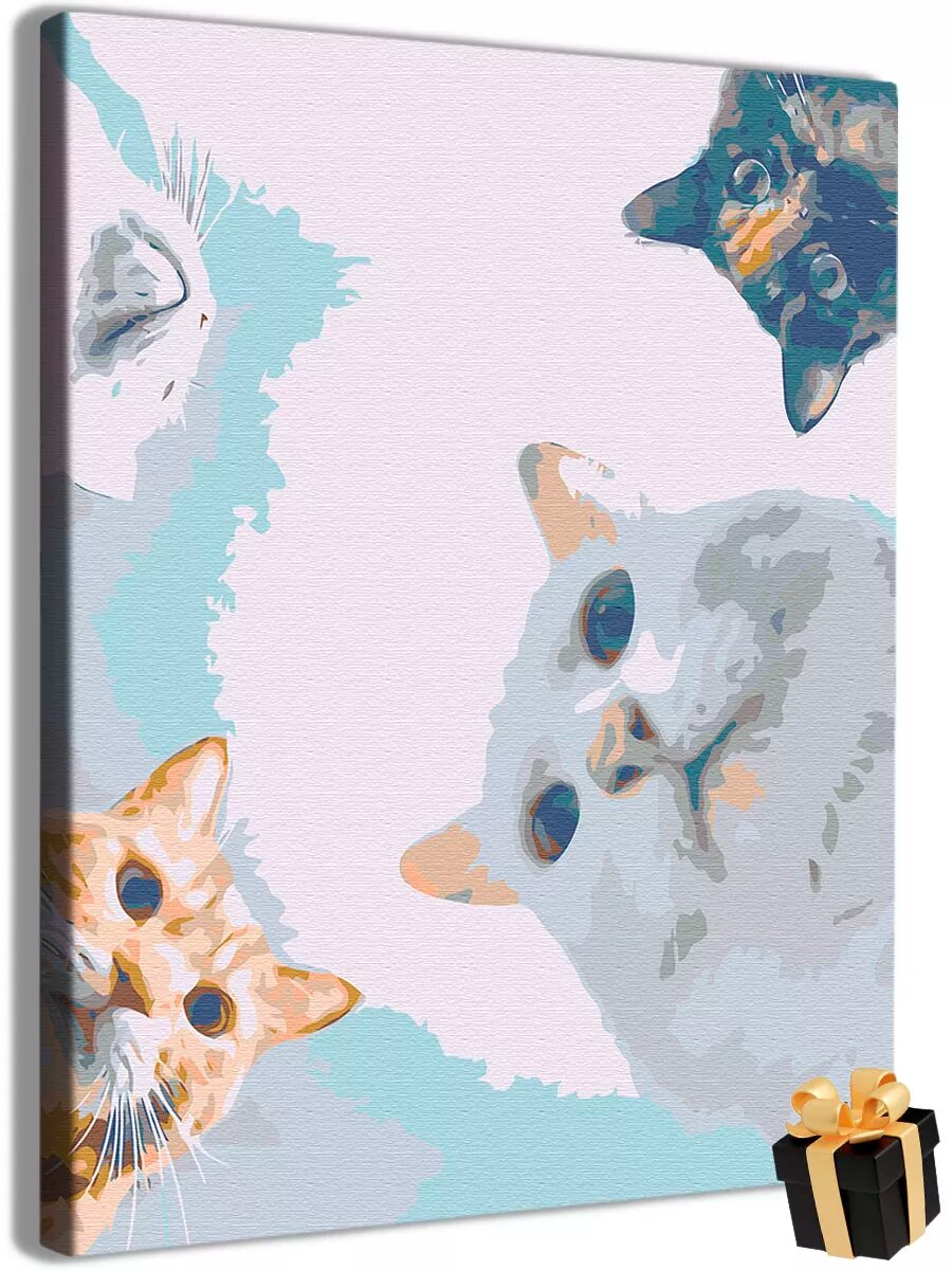 Мем Коты Наташа