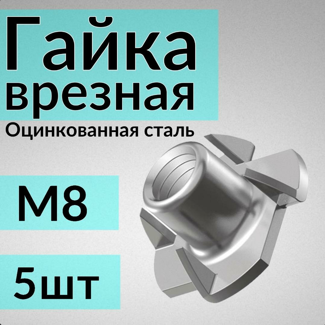 Гайка врезная М8, 5 шт, мебельная, оцинкованная DIN1624