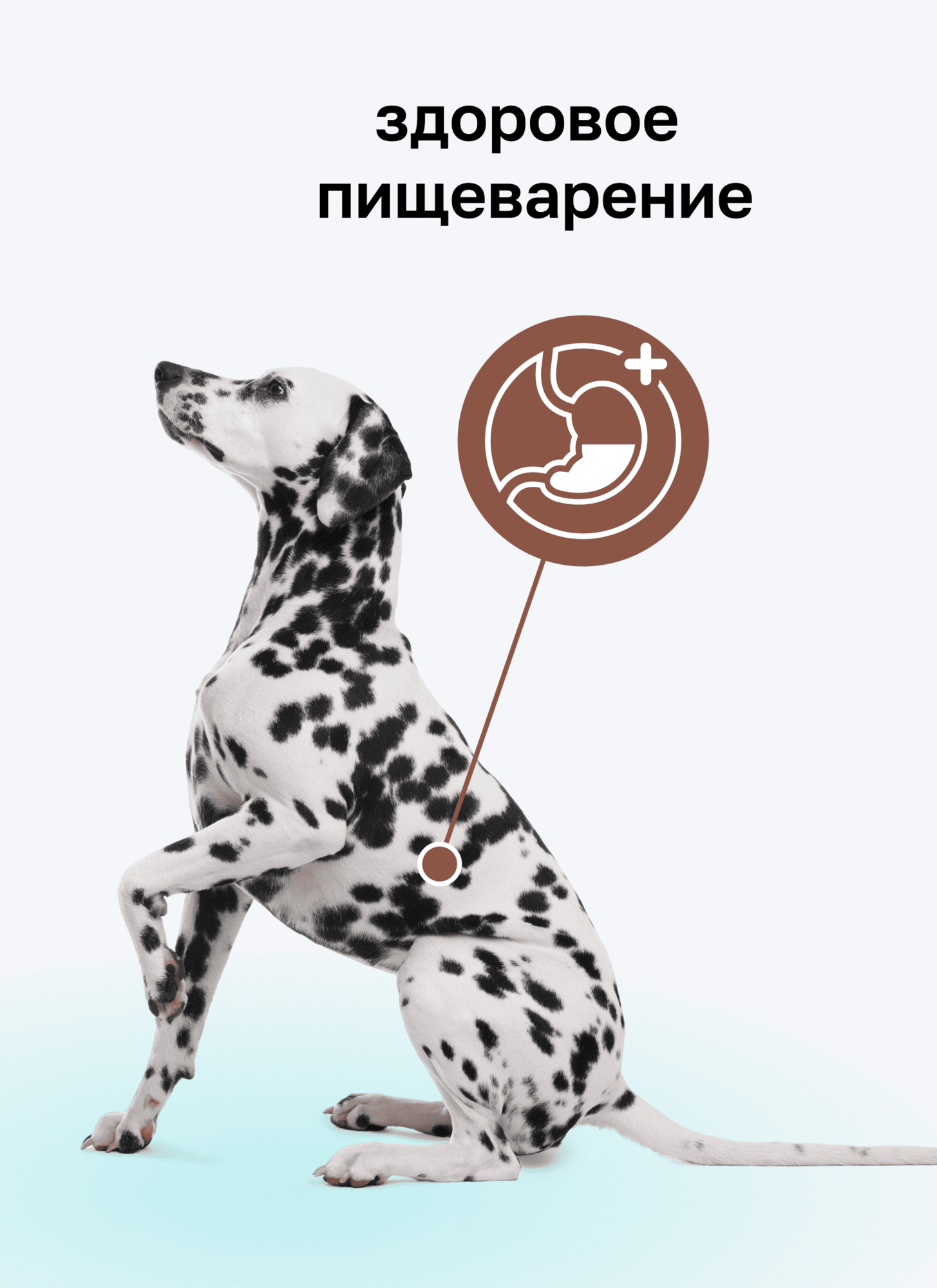 Organix Preventive Line Gastrointestinal Консервы для собак. Поддержание здоровья пищеварительной системы, 240 г Влажный, ветеринарный, диетический корм — фото 1