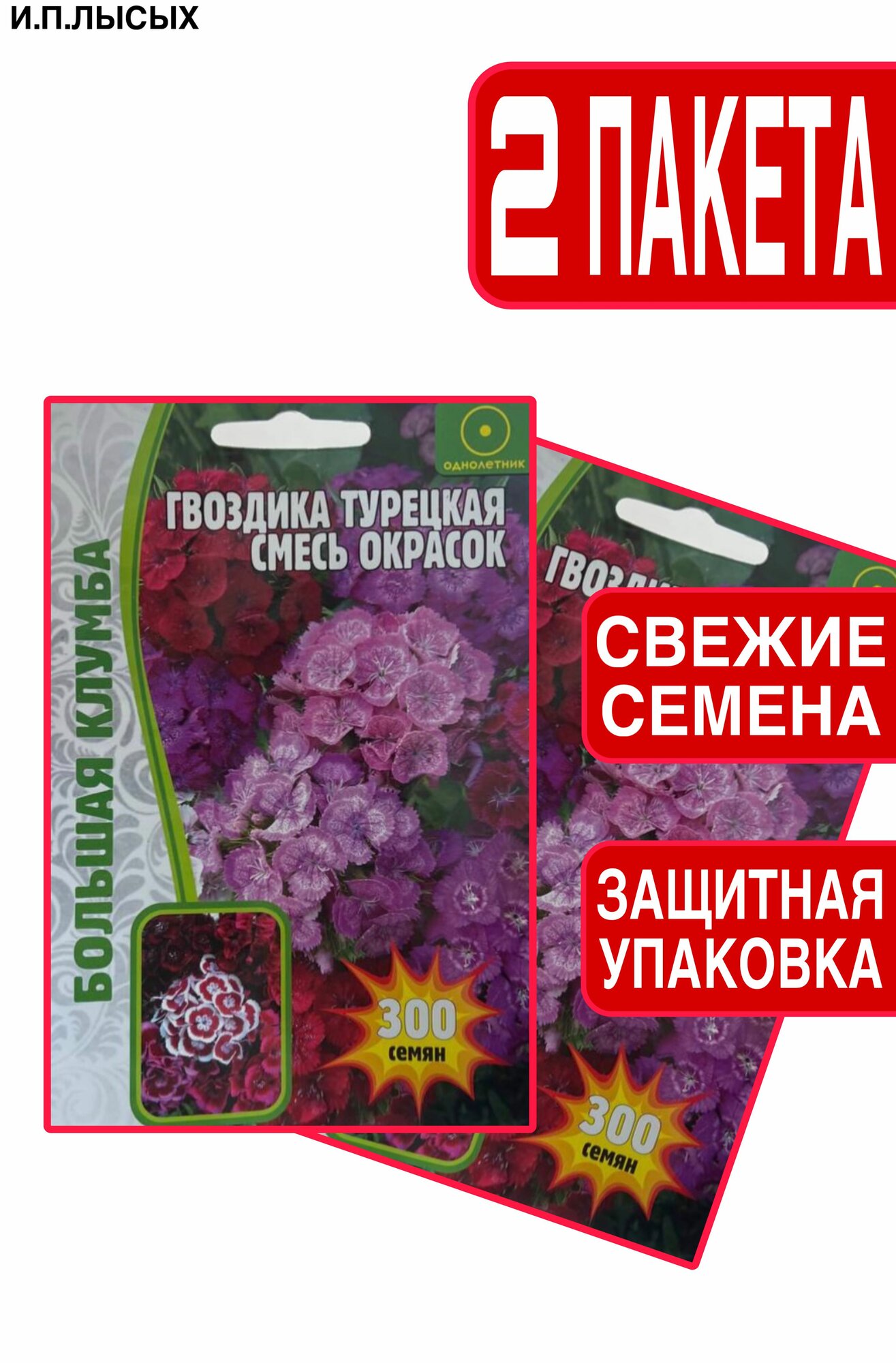 Семена Гвоздика Турецкая Смесь
