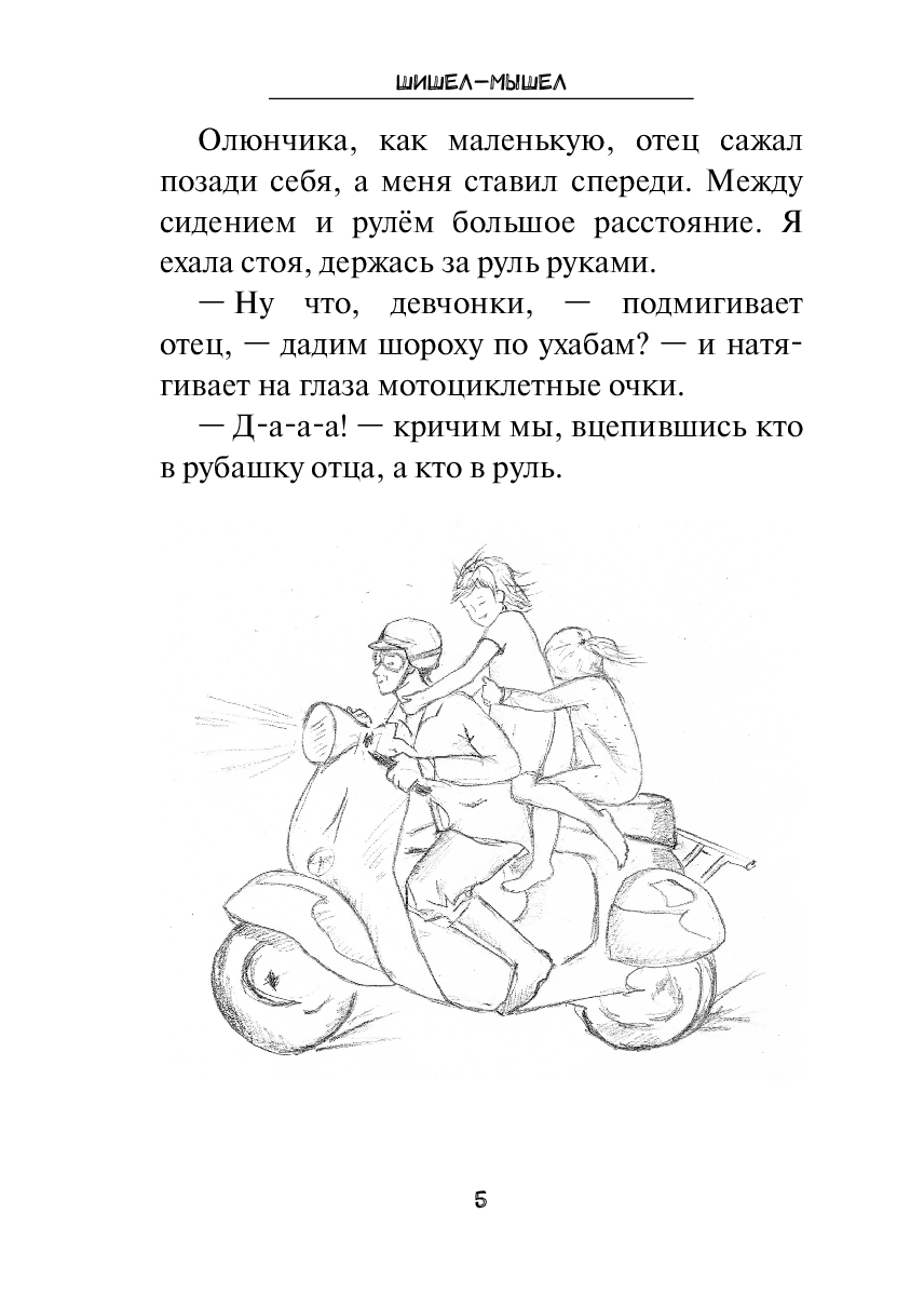 Шишел-мышел — фото 1