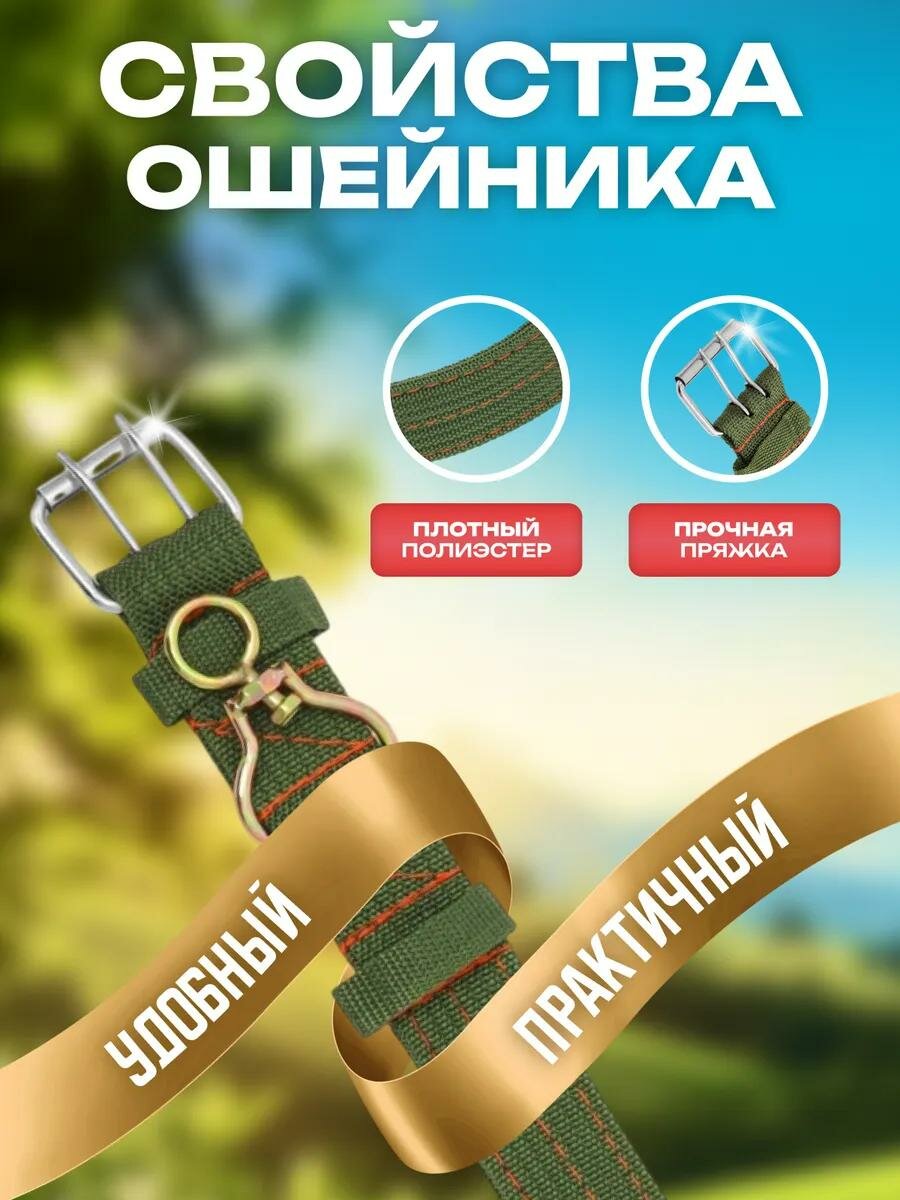 Ошейник четырехслойный с вертлюгом, 80 х 4,9 см, ОШ 64-74 см, полиэстер, зелёный — фото 1