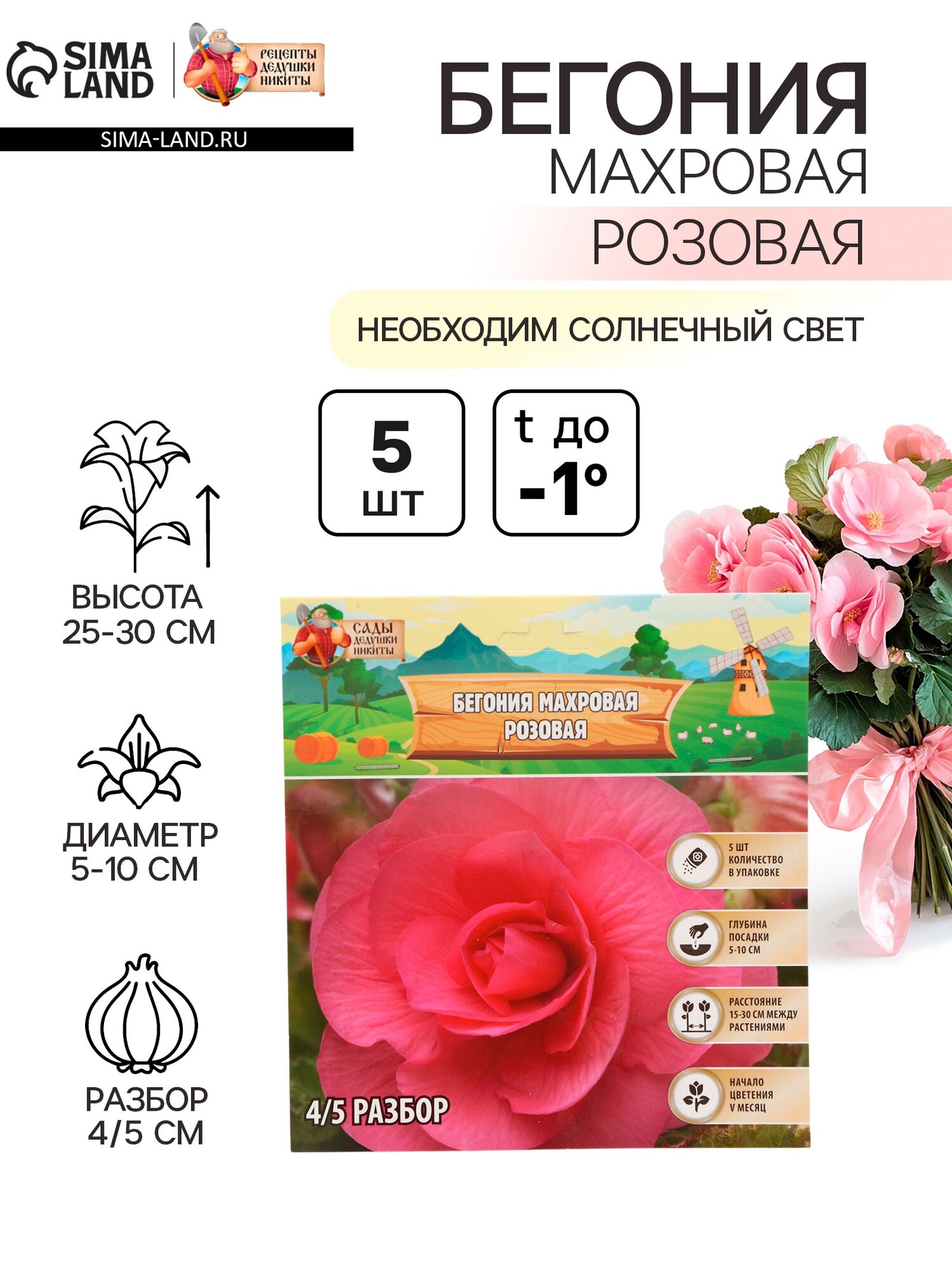 Бегония махровая «Розовая» луковицы р-р 4/5 5 шт.