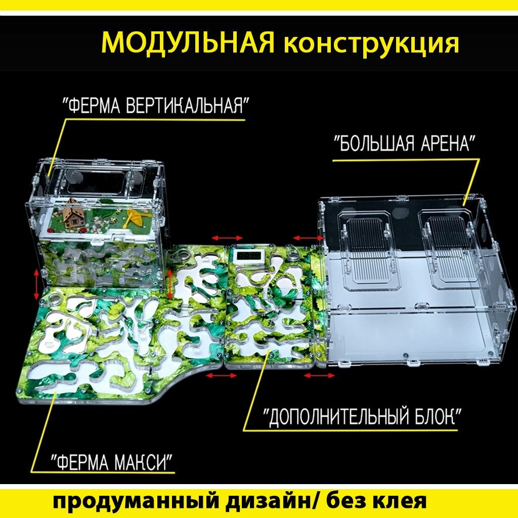 Муравьиная ферма (формикарий) вертикальная AntFarmsNsk - фотография № 3