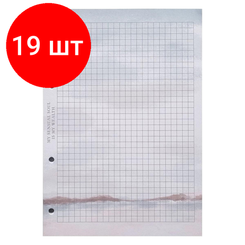 Комплект 19 штук, Сменный блок для тетрадей на кольцах, Be Different А5 50л, кл, View N3601