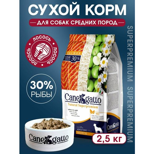 Корм сухой для всех собак Canegatto для средних пород, Лосось, 2.5 кг, Medium