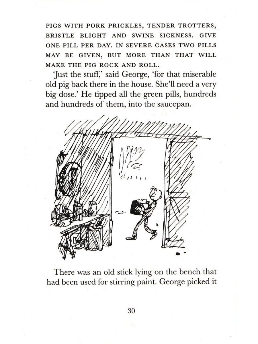 George's marvellous medicine - фото №11