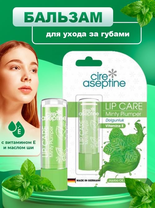 Бальзам для ухода за губами мята, Mint Plumper Lip Care Balm