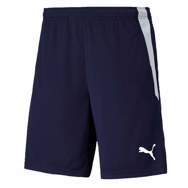 Шорты спортивные PUMA Teamliga Training Shorts 2