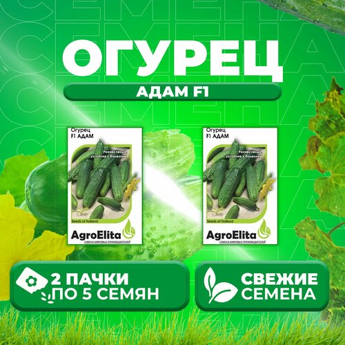 Огурец Адам F1, 5шт, AgroElita, Bejo (2 уп)