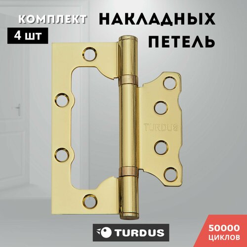 Петли для дверей накладные золото блестящее комплект 4 шт TURDUS 100*75*2,0 2ВВ PB