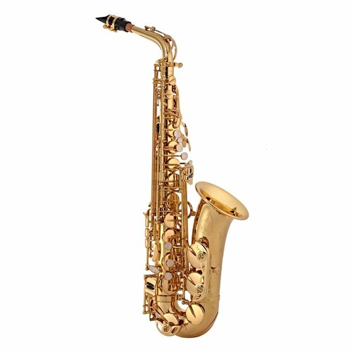 Альт саксофон Trevor James The Horn 3730G dosso dossi golden horn